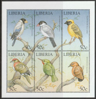 1999 Liberia Birds Of The World Minisheet (** / MNH / UMM) - Uccelli Canterini Ed Arboricoli