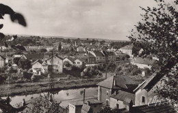 PORT SUR SAONE PANORAMA - Port-sur-Saône