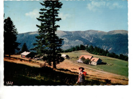 CPSM Le Schnepfenried Vu Vers Le Hohneck (Vosges) - Autres & Non Classés