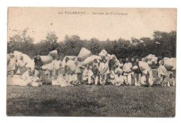 Carte Postale Ancienne - Dép. 01 - Camp De VALBONNE - Corvée De Paillasses - Casernes