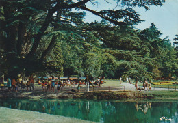 TARBES - JARDIN MASSEY - Tarbes