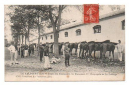Carte Postale Ancienne - Dép. 01 - Camp De VALBONNE - Train Des équipages, Le Pansage - Caserme