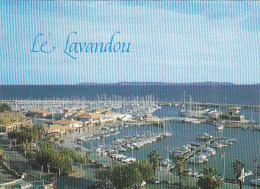 AK 215117 FRANCE - Le Lavandou - Le Lavandou