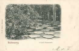 INDONESIA - BUITENZORG - 'S LANDS PLANTENTUIN - PUB. SMITS - 1901 - Indonesia