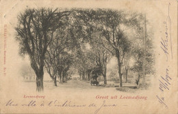 INDONESIA - GROET UIT LOEMADJANG - LOEMADJANG - (LUMAJANG) - PUB. SALZWEDEL N°33 - 1901 - Indonesia