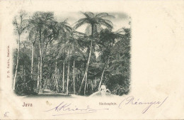 INDONESIA - JAVA - SINDANGLAJA - PUB. SMITS - 1901 - Indonesia