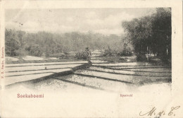 INDONESIA - SOEKABOEMI - RYSTVELD - PUB. SMITS, BATAVIA - 1901 - Indonésie