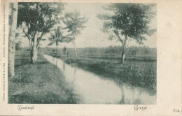INDONESIA - GRASLAND - GROGOL - PUB. SMITS, BATAVIA - 1901 - Indonesië