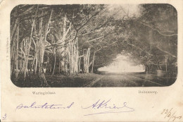 INDONESIA - BUITENZORG - WARINGINLAAN - PUB. SMITS, BATAVIA - 1901 - Indonesië