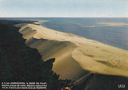 AK 215126 FRANCE - Baie D'Arcachon - La Dune Du Pilat - Autres & Non Classés