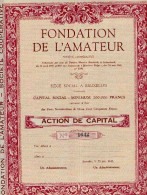 FONDATION De L'AMATEUR Société Coopérative - Bank En Verzekering