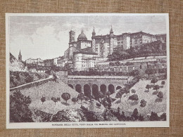 Urbino Nell'800 Panorama La Città Vista Dalla Via Maestra Dei Cappuccini Marche - Autres & Non Classés