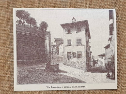 Urbino Nell'800 Via Lavagna E Strada Sant'Andrea Marche - Other & Unclassified