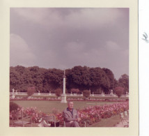 PHOTO ORIGINALE AL 1 - FORMAT 9 X 9 - PARIS - JARDINS DU LUXEMBOURG - 1964 - Places