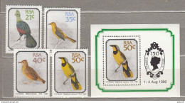BIRDS South Africa 1990 MNH Mi 800-803, Bl 25 #Fauna975 - Autres & Non Classés