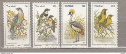 BIRDS South Africa Transkei 1980 Mi 75-78 MNH (**) #Fauna976 - Andere & Zonder Classificatie