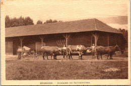 SELECTION  -  EPERNON  -  Domaine De Savonnières - Epernon