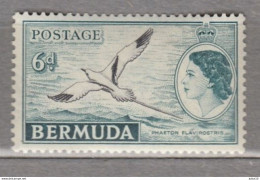 BERMUDA 1953 Elizabeth II Bird MH (*) Mi 138 #Fauna980 - Andere & Zonder Classificatie