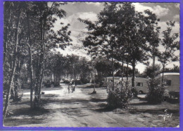 Carte Postale 29. Fouesnant Le Camping Du Saint-Laurent   Très Beau Plan - Fouesnant