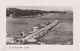 83 - Ile De Porquerolles  -  La Jetée - Porquerolles