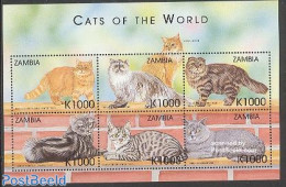 Zambia 1999 Cats 6v M/s, Exotic Shorthair, Mint NH, Nature - Cats - Zambia (1965-...)