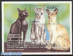 Zambia 1999 Siamese Cats S/s, Mint NH, Nature - Cats - Zambia (1965-...)