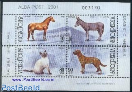Albania 2001 Domestic Animals 4v M/s, Mint NH, Nature - Animals (others & Mixed) - Cats - Dogs - Horses - Albania