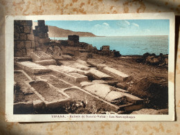 ALGERIE: TIPASA -  RUINES ROMAINE - - Other & Unclassified