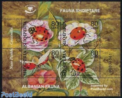 Albania 2004 Ladybirds 4v M/s, Mint NH, Nature - Animals (others & Mixed) - Flowers & Plants - Insects - Albanie