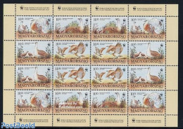 Hungary 1994 WWF, Birds M/s, Mint NH, Nature - Birds - World Wildlife Fund (WWF) - Ungebraucht