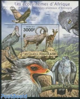 Togo 2011 African Ecosystem, Ethiopian Highlands S/s, Mint NH, Nature - Animals (others & Mixed) - Togo (1960-...)