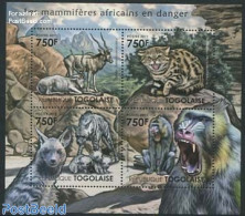 Togo 2011 Endangered Animals 4v M/s, Mint NH, Nature - Animals (others & Mixed) - Cat Family - Monkeys - Togo (1960-...)