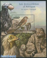 Togo 2011 African Ecosystems, The Horn Of Africa S/s, Mint NH, Nature - Birds - Togo (1960-...)