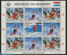 Paraguay 1987 Olympic Winter Games M/s, Mint NH, Sport - Olympic Winter Games - Skiing - Skiing