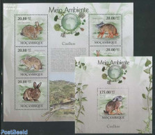 Mozambique 2010 Rabbits 2 S/s, Mint NH, Nature - Animals (others & Mixed) - Rabbits / Hares - Mosambik