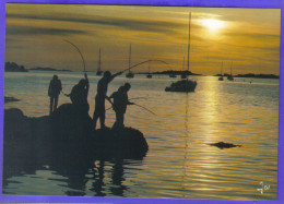 Carte Postale 29. Plouezoc'h  Sarclage Au Pays Des Artichauts  Coucher De Soleil  Très Beau Plan - Autres & Non Classés