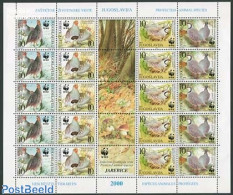 Yugoslavia 2000 WWF, Birds M/s, Mint NH, Nature - Birds - World Wildlife Fund (WWF) - Unused Stamps