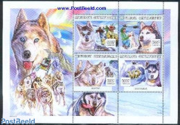 Central Africa 2001 Polar Dogs 4v M/s, Mint NH, Nature - Science - Dogs - The Arctic & Antarctica - Centraal-Afrikaanse Republiek