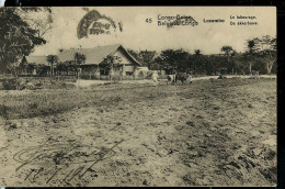 Carte Avec Vue N° 42 - 45 - Lusambo - Le Labourage - Obl. BOMA - 14/07/1919 - Postwaardestukken