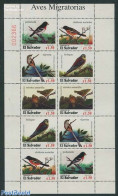 El Salvador 1996 Migrating Birds 2x5v M/s, Mint NH, Nature - Birds - El Salvador