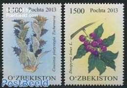 Uzbekistan 2013 Flowers 2v, Mint NH, Nature - Flowers & Plants - Oezbekistan
