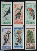 Hungary 1966 Bird Protection 6v, Imperforated, Mint NH, Nature - Birds - Birds Of Prey - Parrots - Trees & Forests - W.. - Unused Stamps
