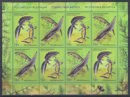 Russia 2012 Mi# 1831-1832 Klb. ** MNH - Sheet Of 8 (4 X 2) - Newts - Unused Stamps