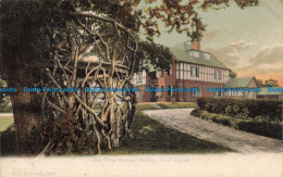 R671775 New Forest. The Tree House. Burley. F. G. O. Stuart - Monde
