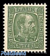 Iceland 1902 5A Green, Stamp Out Of Set, Unused (hinged) - Ongebruikt