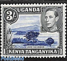 East Africa 1938 3Sh, Perf. 13:12.5, Stamp Out Of Set, Unused (hinged), Nature - Trees & Forests - Rotary Club