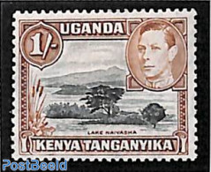East Africa 1938 1Sh, Perf. 13:12.5, Stamp Out Of Set, Unused (hinged), Nature - Trees & Forests - Rotary, Lions Club