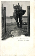 CPA Laos, Un éléphant Avec Son Bat, Arbeitselefant - Chine