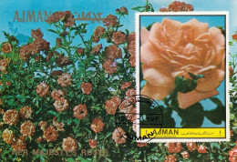 AJMAN Block 502,used,falc Hinged - Roses