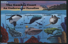 Gambia 2001 Gambia Coast 6v M/s, Killer Whale, Mint NH, Nature - Transport - Sea Mammals - Ships And Boats - Bateaux